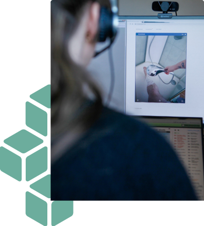 VV maternity case study section VV maternity case study section